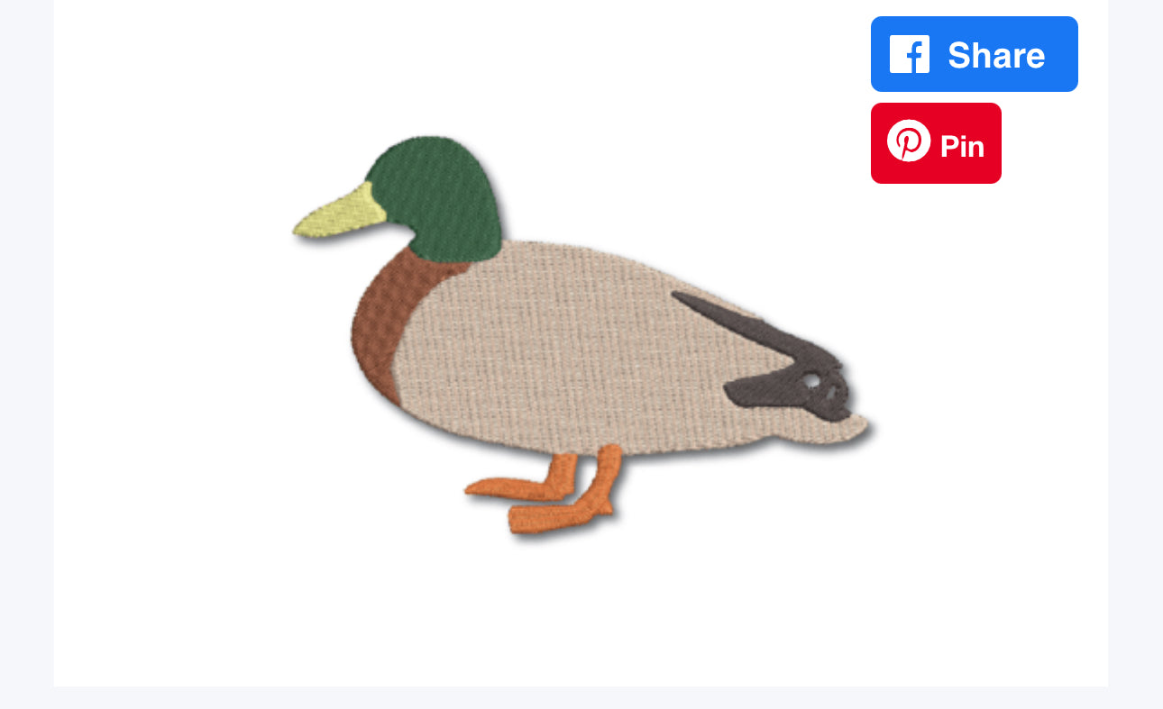 Delaney’s Duck Design
