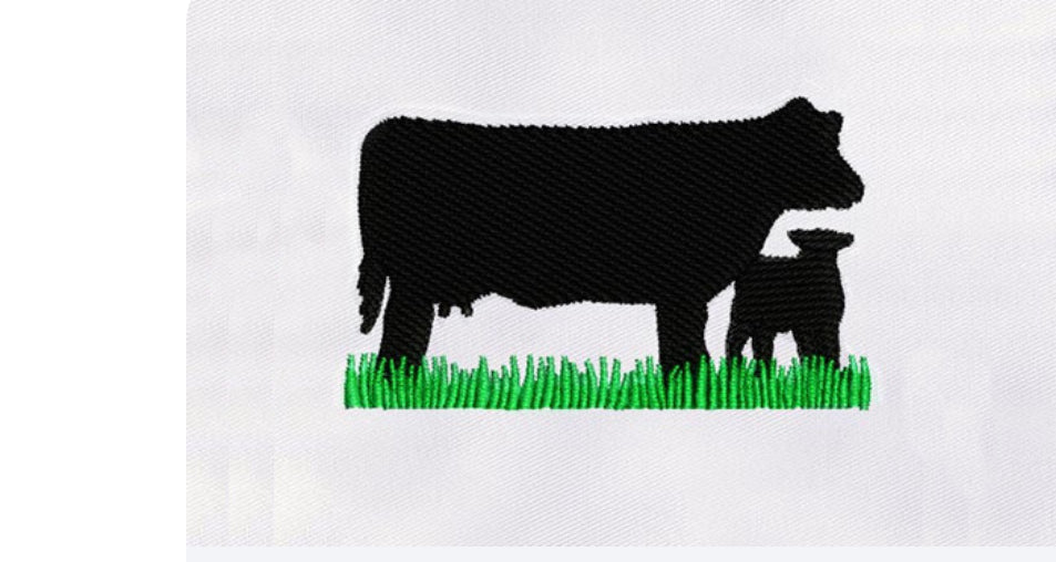 Black Angus Cow and Baby