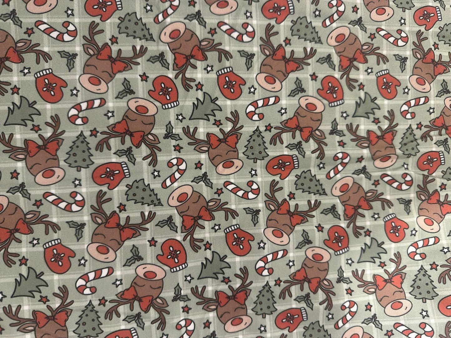Rudolph Print 2