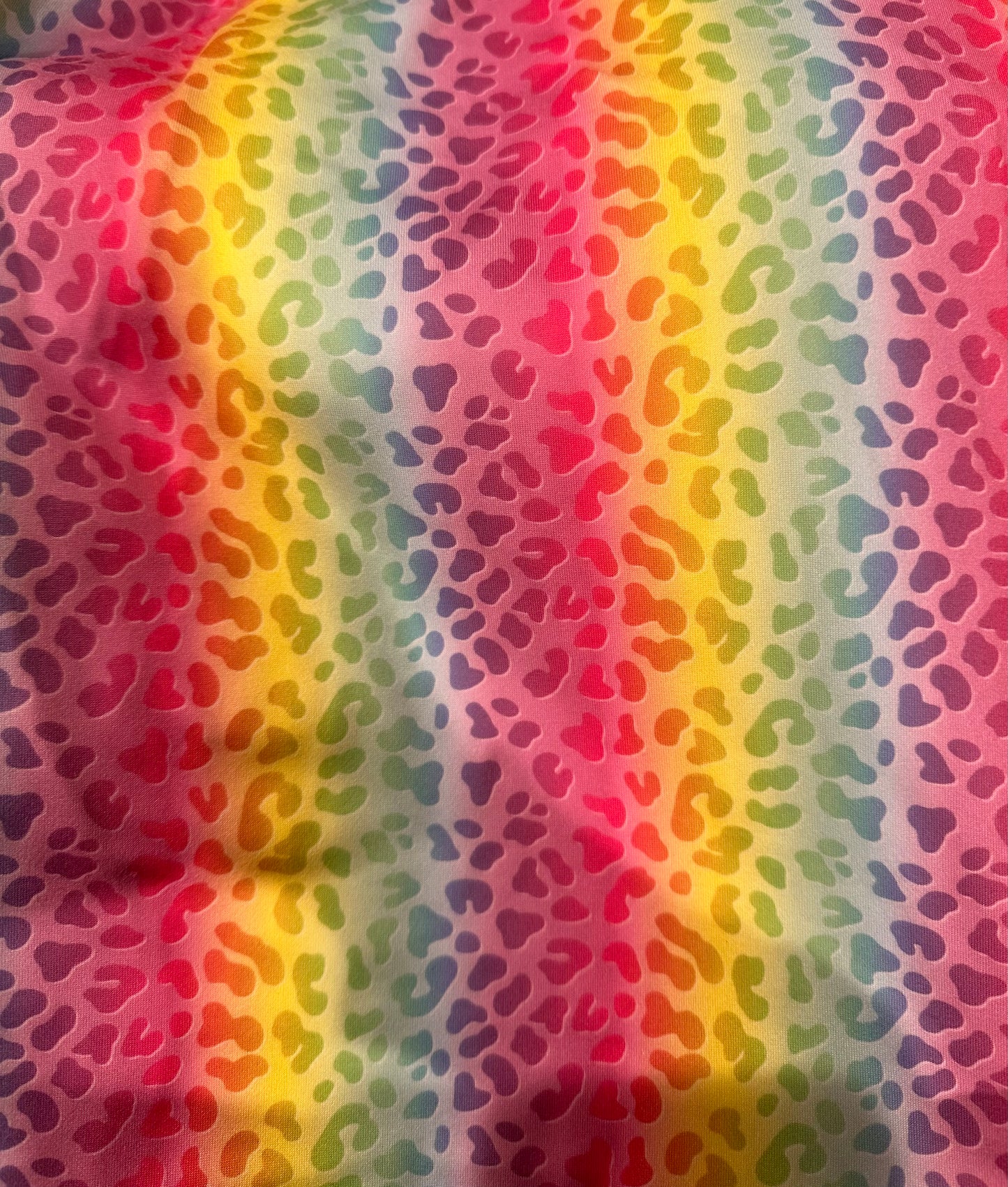 Hello Dollie Rainbow Cheetah Print