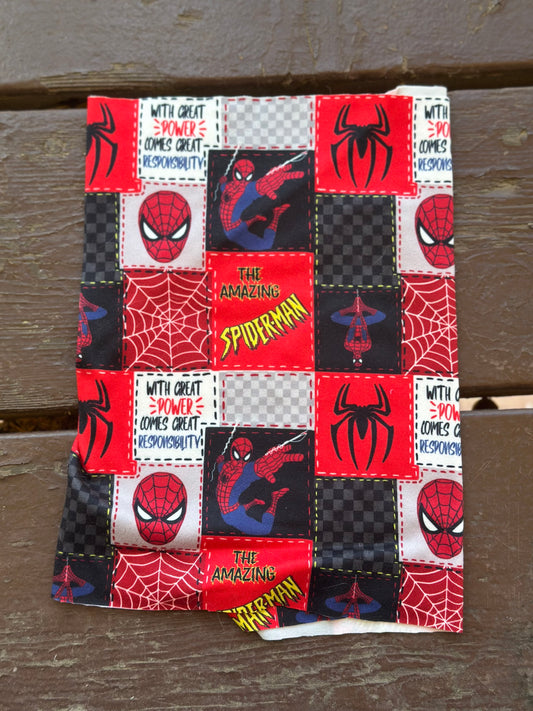 The Spider
