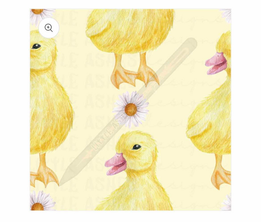 Ducks