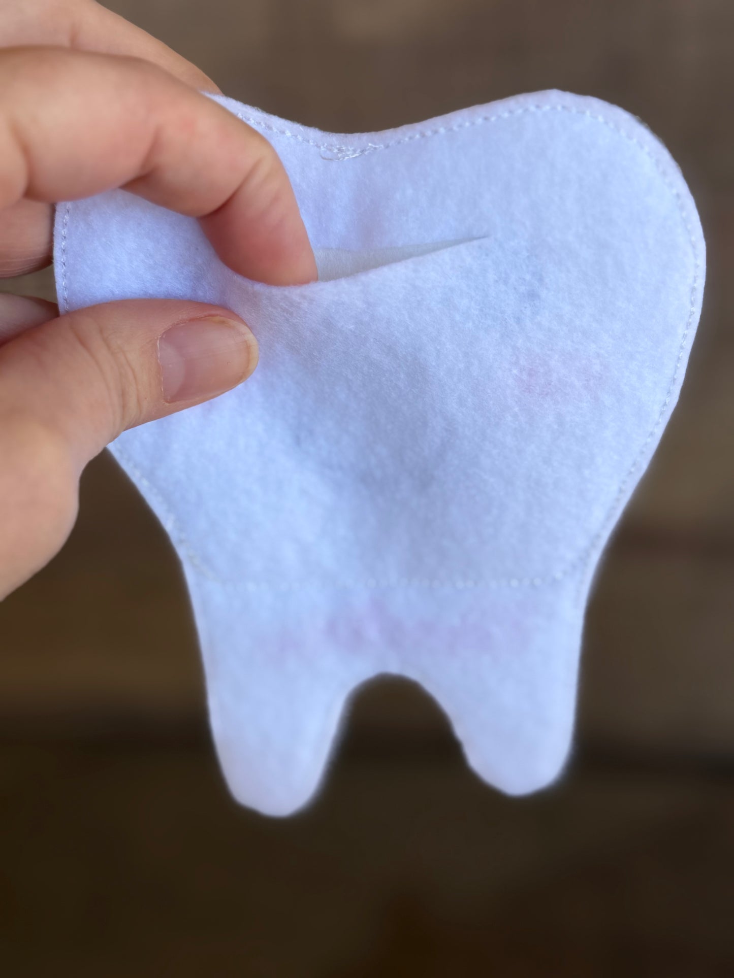 Tooth Fairy Pouch